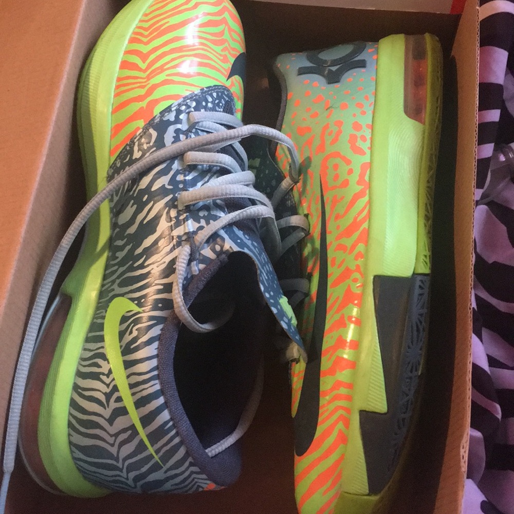 KD VI Ligers (GS)